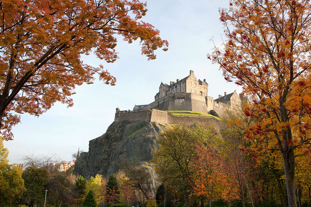 Some of Edinburgh's iconic trees TreeTime Edinburgh TreeTime Edinburgh