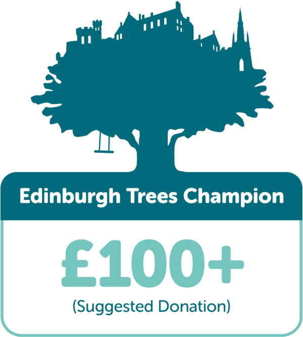 Edinburgh Trees Champion £100+ (suggested donation)