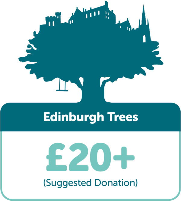 Edinburgh Trees TreeTime Edinburgh TreeTime Edinburgh