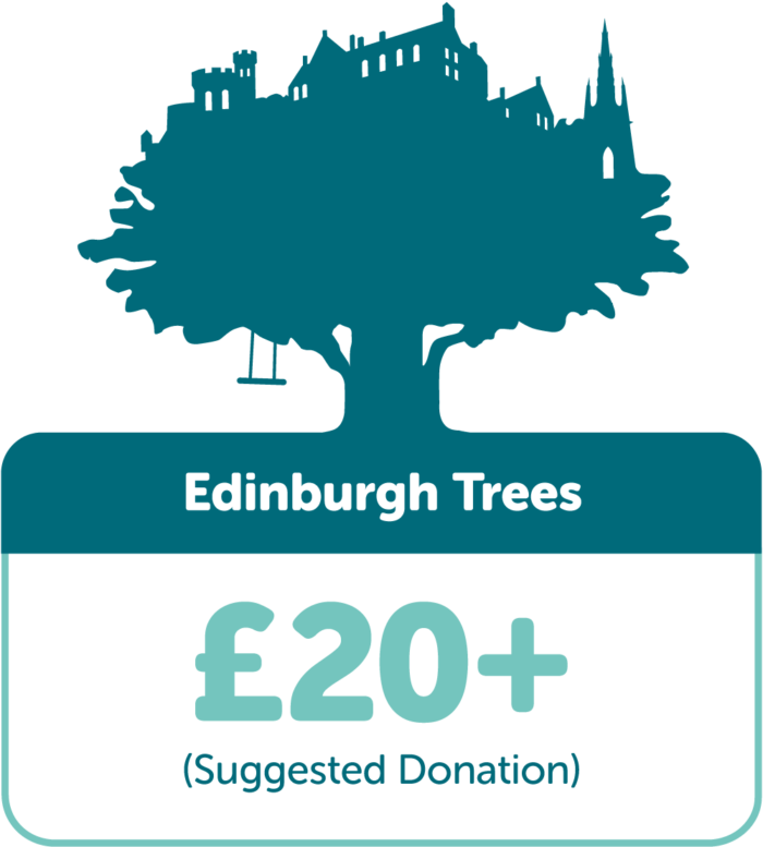 Edinburgh Trees TreeTime Edinburgh TreeTime Edinburgh