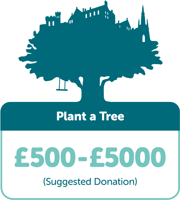 Plant a Tree £500-£5000 (suggested donation)