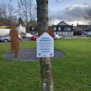 Fauldhouse: Main Street: Himalyan Birch