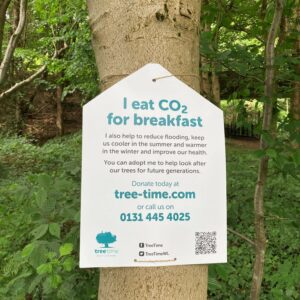 Livingston: Murieston: Sycamore