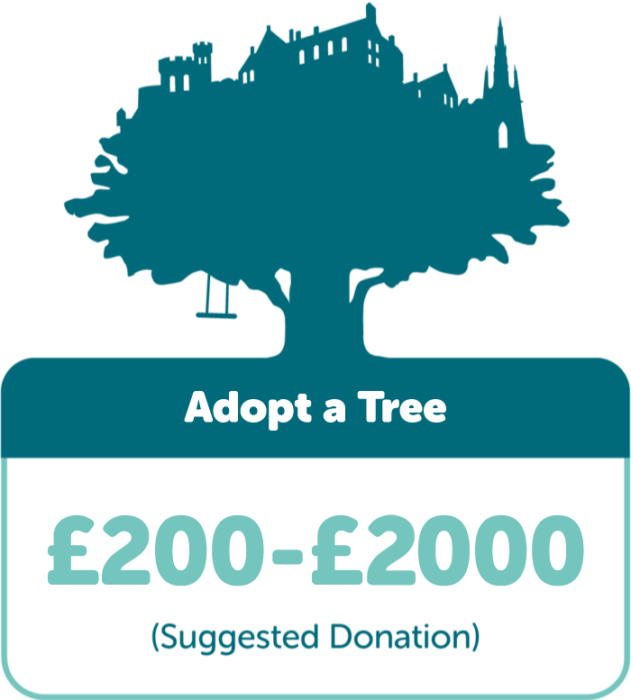 Adopt a Tree: Suggested donation £200-£2000