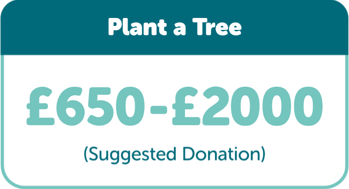 Plant a Tree: Suggested donation £500-£2000
