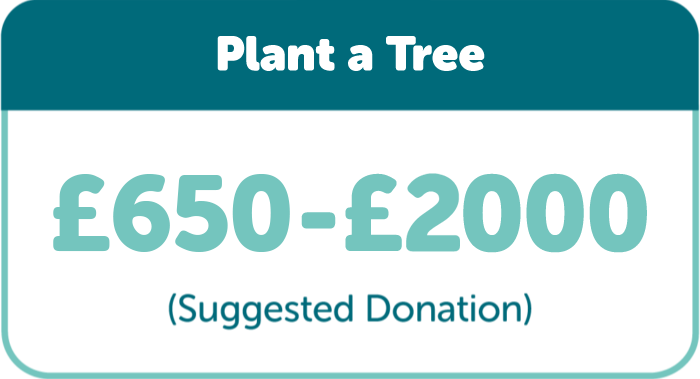 Plant a Tree: Suggested donation £500-£2000