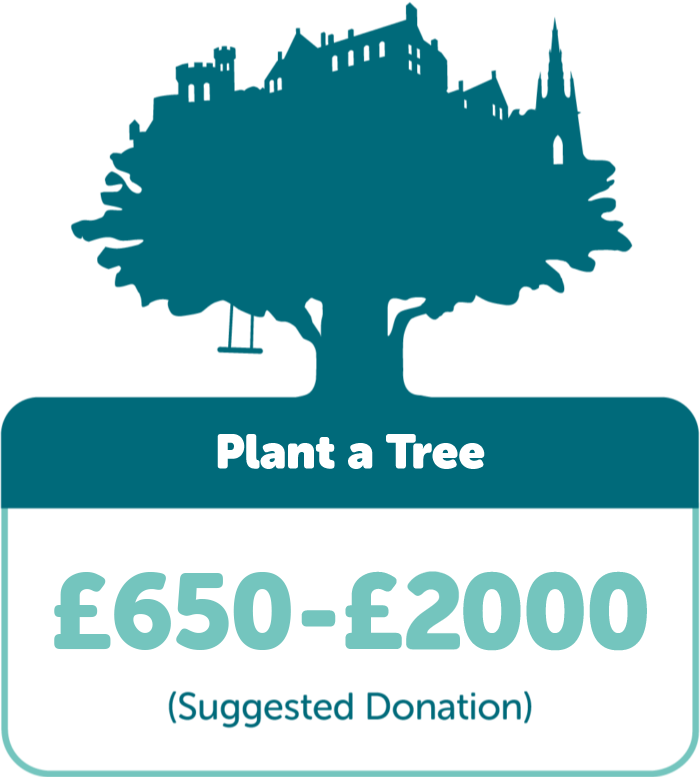 Plant a Tree: Suggested donation £500-£2000