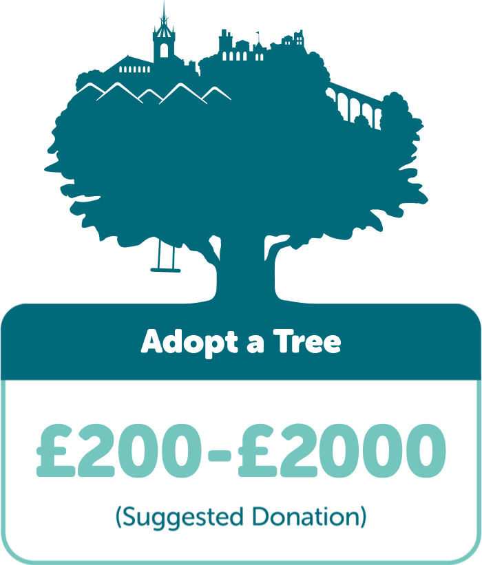 Adopt a Tree: Suggested donation £200-£2000