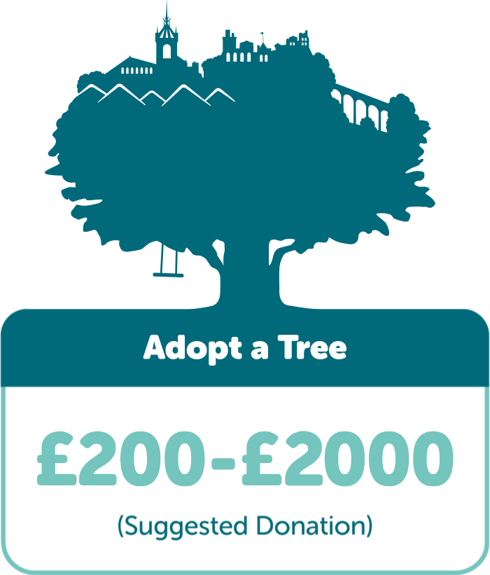 Adopt a Tree: Suggested donation £200-£2000