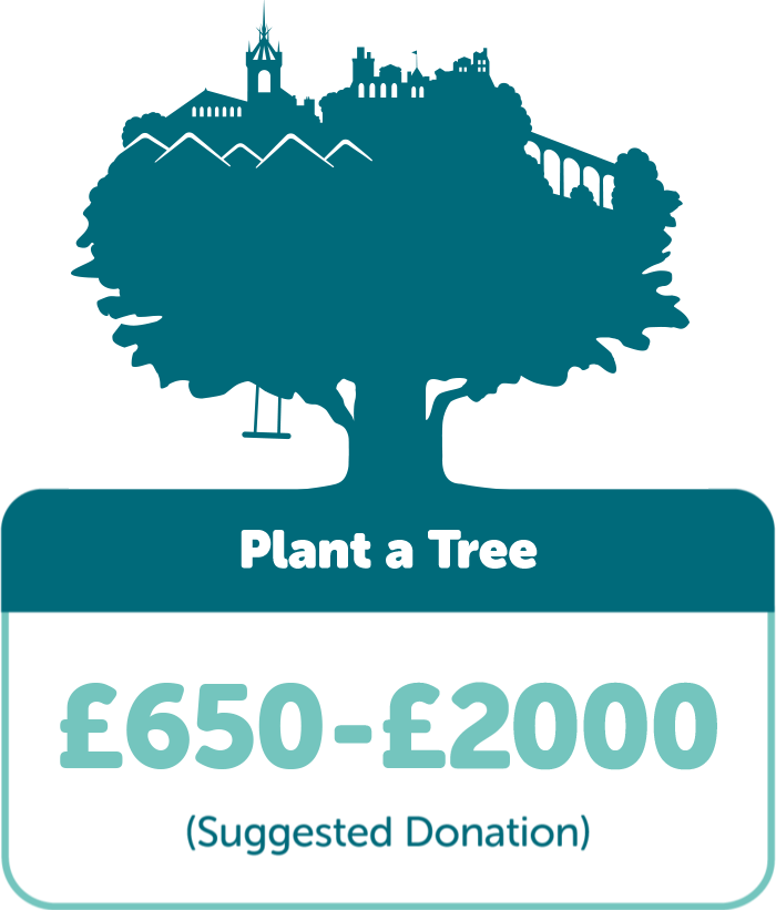 Plant a Tree: Suggested donation £500-£2000