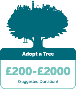 Adopt a Tree: Suggested donation £200-£2000