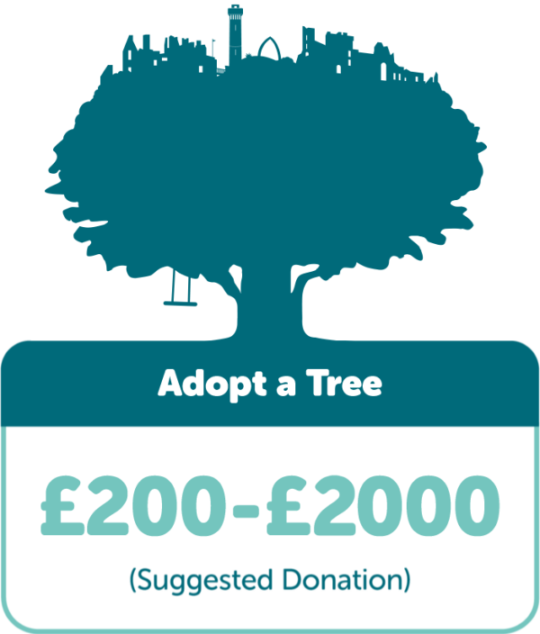 Adopt a Tree: Suggested donation £200-£2000