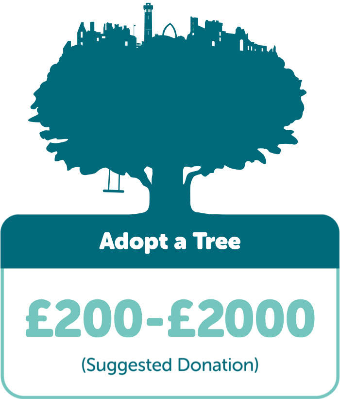 Adopt a Tree: Suggested donation £200-£2000