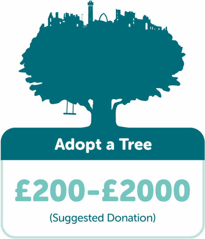 Adopt a tree with TreeTime. Suggested donation £200-£2000.