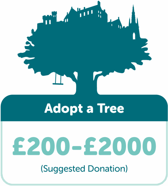 Adopt a tree with TreeTime. Suggested donation £200-£2000.
