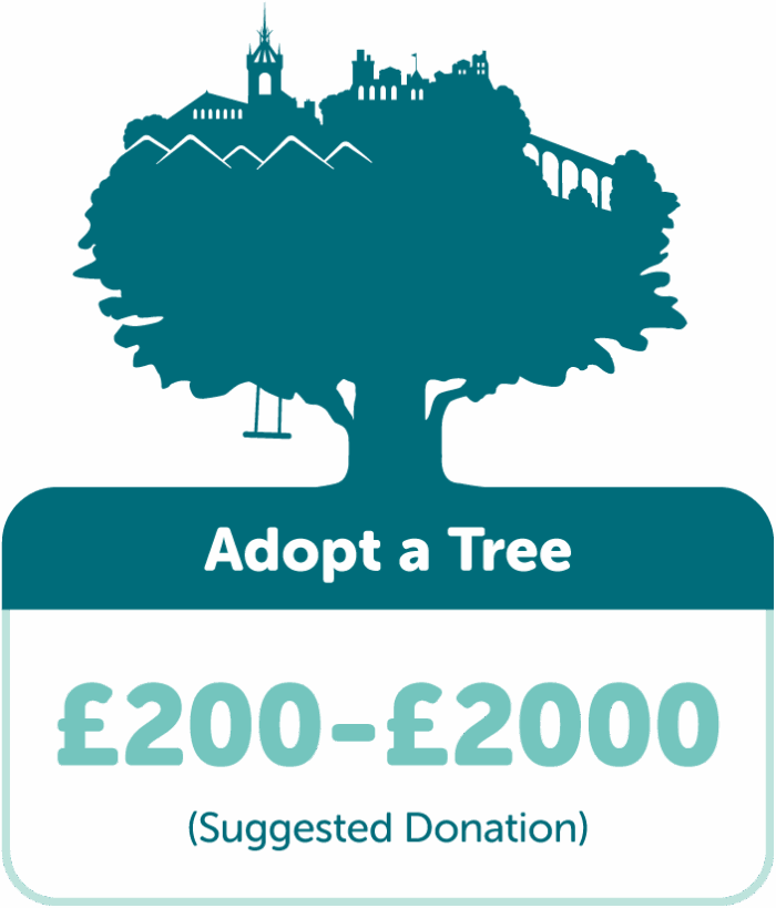 Adopt a tree with TreeTime. Suggested donation £200-£2000.
