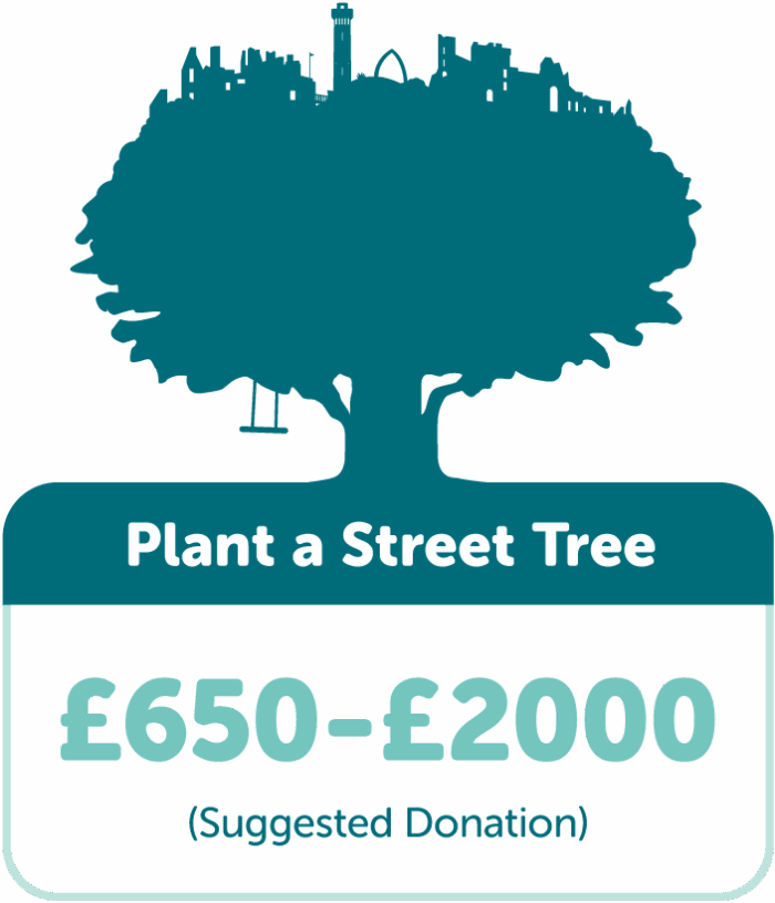 Plant a Street Tree in East Lothian with TreeTime. Suggested donation £650-£2000.