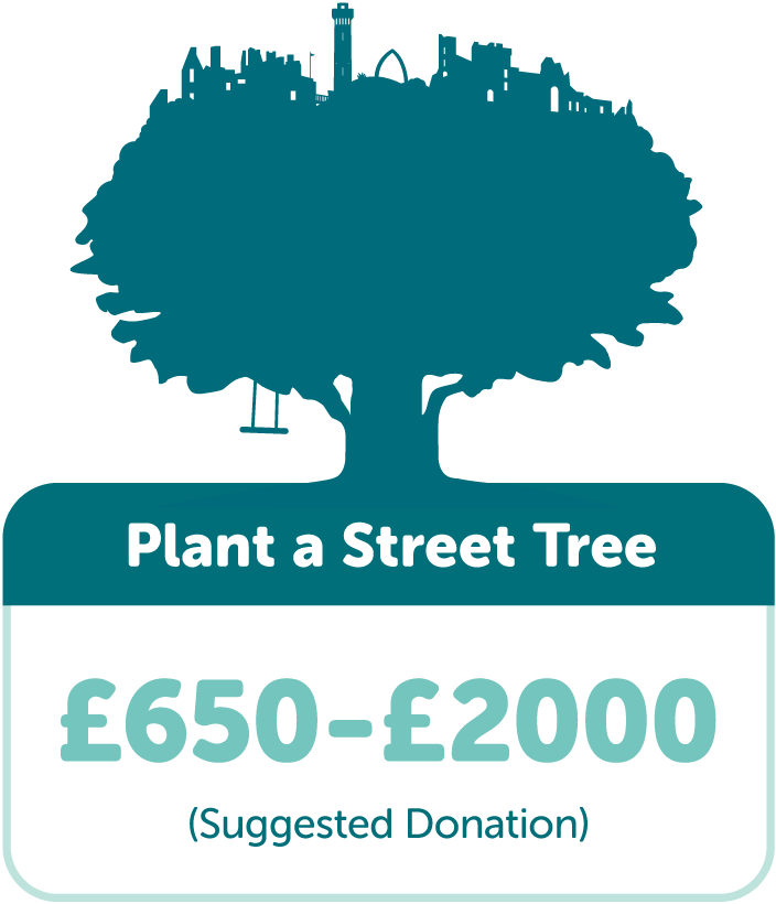 Plant a Street Tree in East Lothian with TreeTime. Suggested donation £650-£2000.