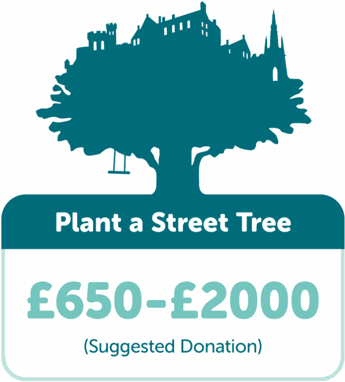 Plant a Street Tree in Edinburgh with TreeTime. Suggested donation £650-£2000.