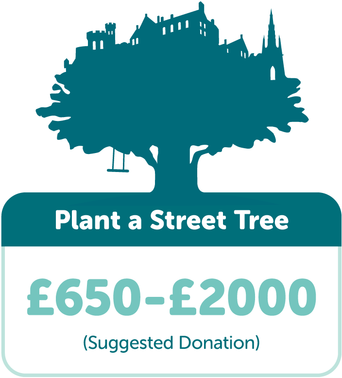 Plant a Street Tree in Edinburgh with TreeTime. Suggested donation £650-£2000.