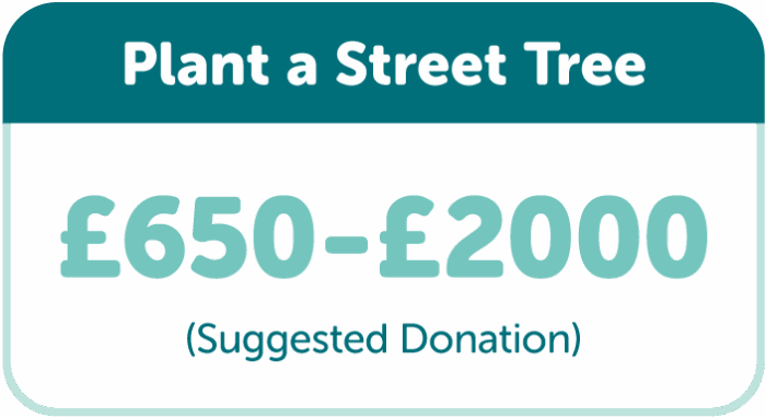 Plant a Street Tree with TreeTime. Suggested donation £650-£2000.