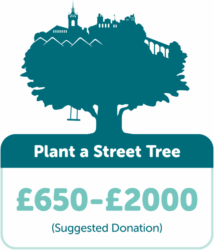 Plant a Street Tree in West Lothian with TreeTime. Suggested donation £650-£2000.