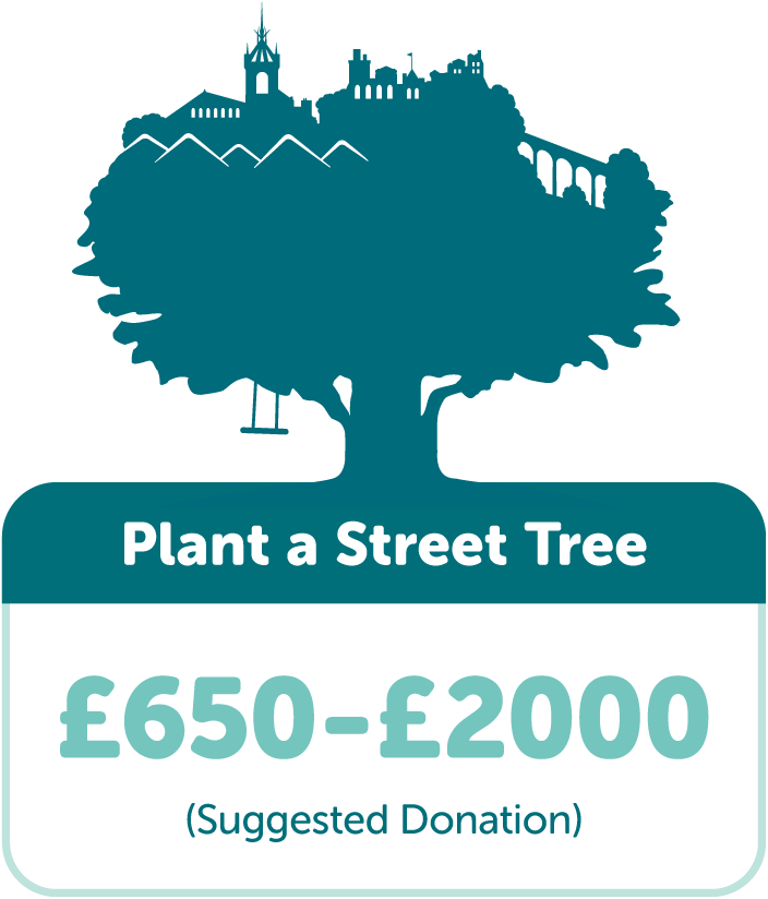 Plant a Street Tree in West Lothian with TreeTime. Suggested donation £650-£2000.